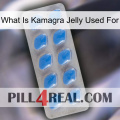 What Is Kamagra Jelly Used For 22